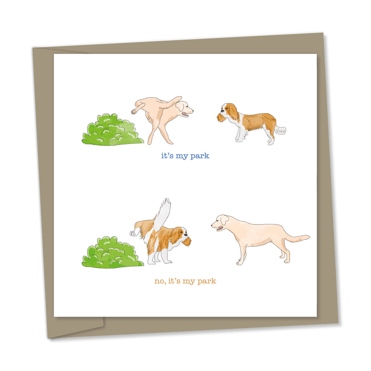 “it’s my park” – two dogs and a bush