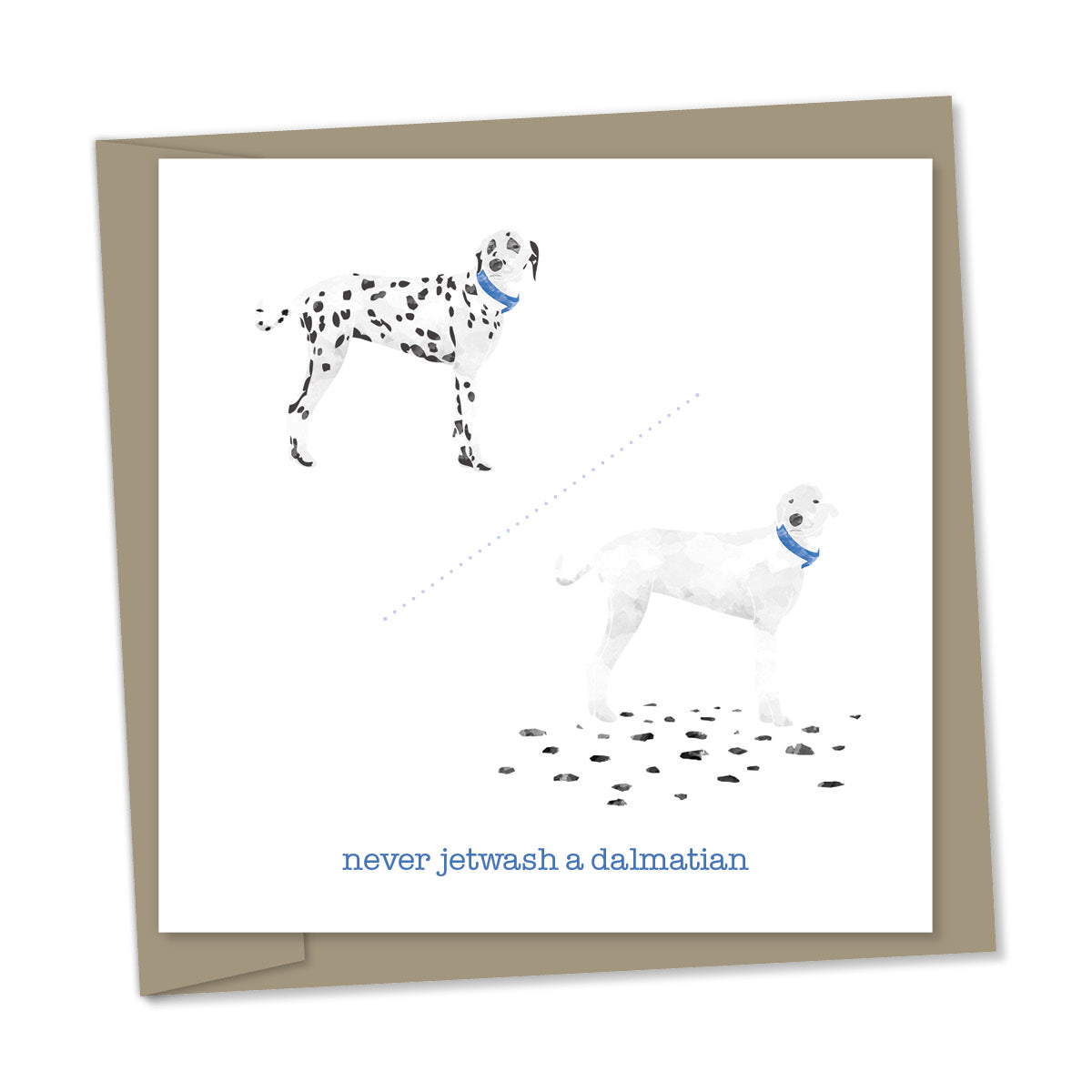 never jetwash a dalmatian