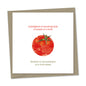 intelligence is knowing that a tomato is a fruit – wisdom is not putting it in a fruit salad