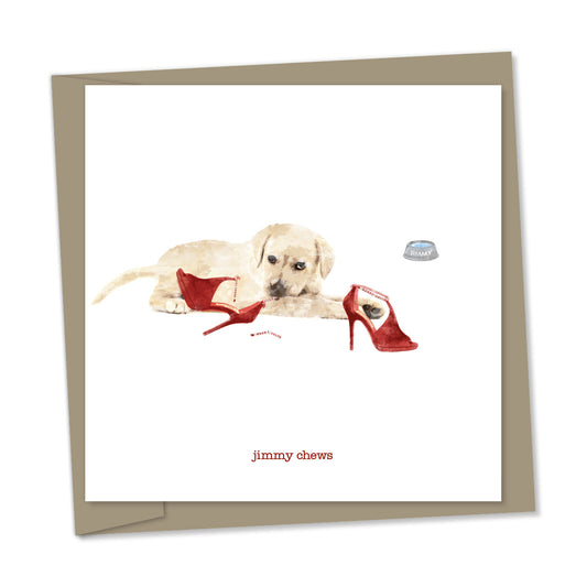 puppy chewing jimmy choos – jimmy chews