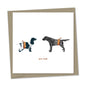 gun dogs