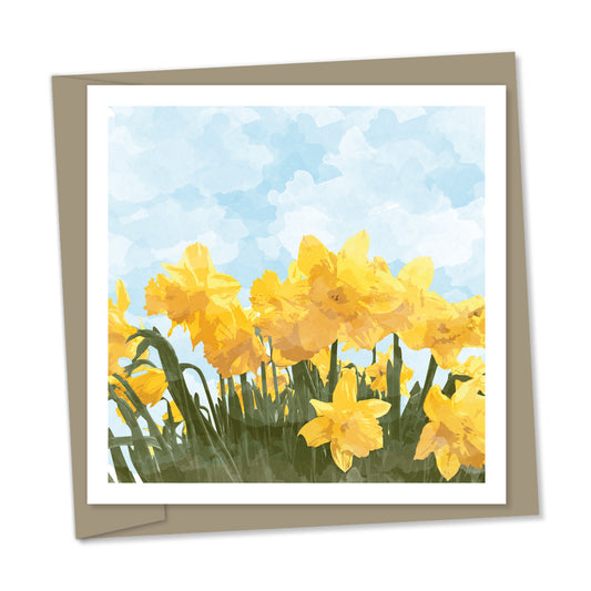 daffodils