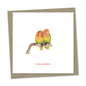 love birds – be my valentine